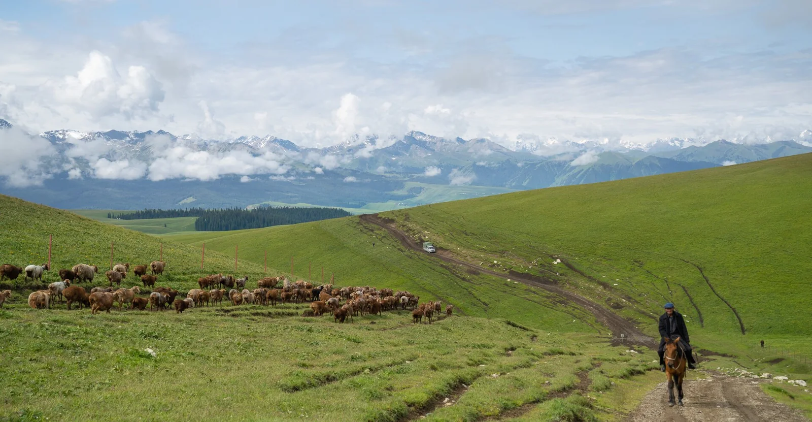 Praterie di Kalajun con il Tian Shan sullo sfondo
