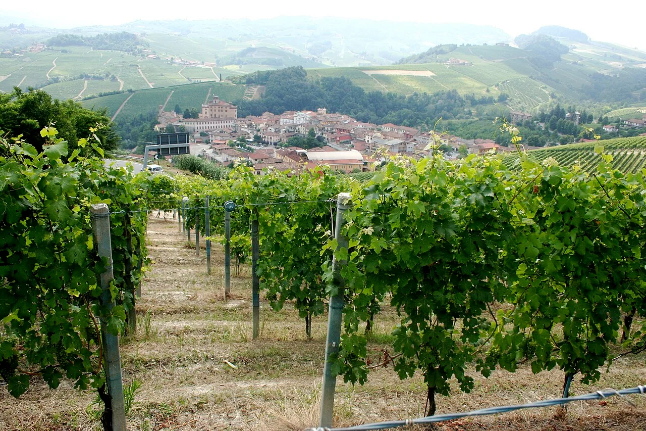 Vigneti delle Langhe
