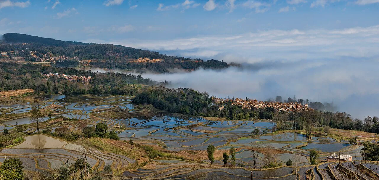 Risaie terrazzate di Yuanyang