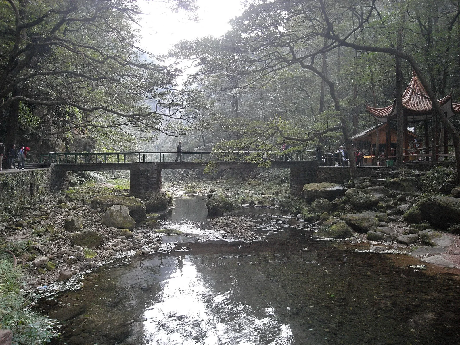 Il torrente Jinbian (Golden Whip) tra i boschi di Zhangjiajie